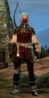 Bandit male 1 (longbow).jpg