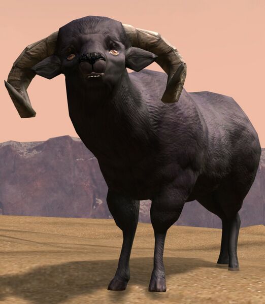 File:Black Sheep.jpg