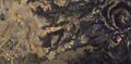 Thumbnail for version as of 23:14, 22 June 2025