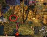 Carrot Collector 1 map.jpg