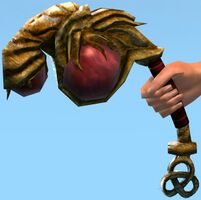 Ceremonial Focus.jpg