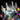 Champion's Winter Crown
