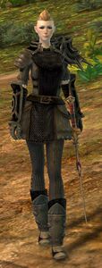 Crusader Michiele.jpg