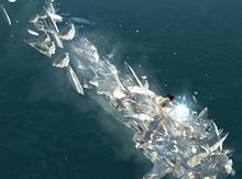 Cryomancer Glider side.jpg