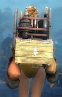 Elegant Huntsman's Backpack.jpg