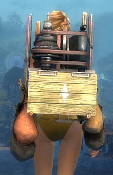 Elegant Huntsman's Backpack.jpg