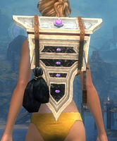 Elegant Jeweler's Backpack.jpg