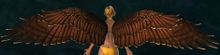 Hawk Wings Glider.jpg