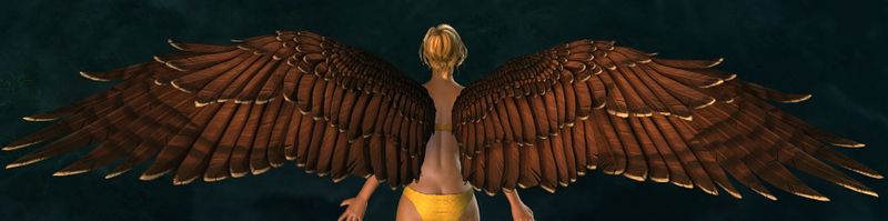 File:Hawk Wings Glider.jpg