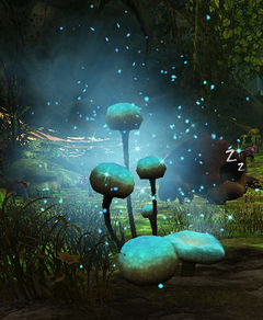 Imbued Mushroom.jpg