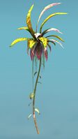 Island Shrub side.jpg