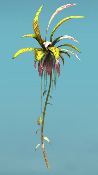 File:Island Shrub side.jpg