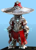Mage Knight Outfit
