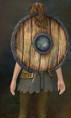 [[PvP Shield|Shield]]