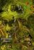Auric Basin chests Bristleback Cavern 1.jpg