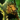 Crown of Urgoz.png