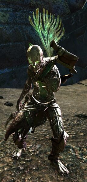 File:Elite Risen Elementalist.jpg