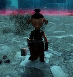Engineer Nikk.jpg