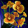 Honey Flower Home Instance Node.png