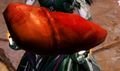Thumbnail for version as of 20:38, 11 January 2020