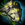 Maguuma's Mantle Skin.png