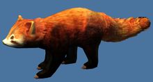 Mini Red Panda.jpg