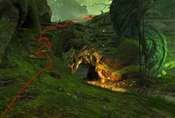 The path up the mushrooms.