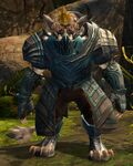 Charr male