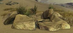 Sand Eel Nest.jpg