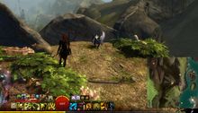 Skyscale Lost—Griffonrook Run.jpg