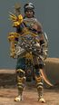 Sunspear heavy male 2.jpg