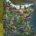 Thumbnail for version as of 02:52, 29 May 2020