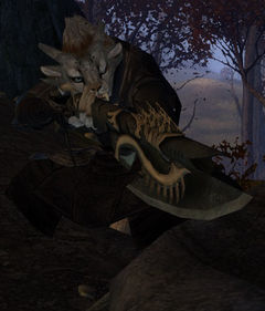 Zola Swiftstep.jpg