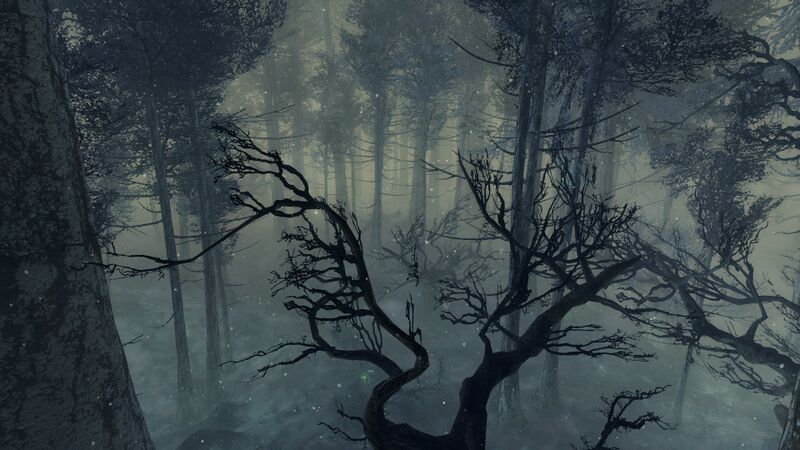File:Aberrant Forest 2.jpg