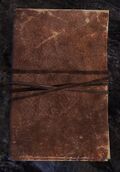 Book (leather).jpg