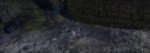 Chak Trail 1.gif