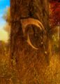 Charr trail sign - claw.jpg