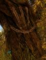 Charr trail sign - smile.jpg