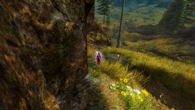 File:Cryptid Chase 4 location.jpg