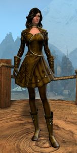Appearance on light armor.