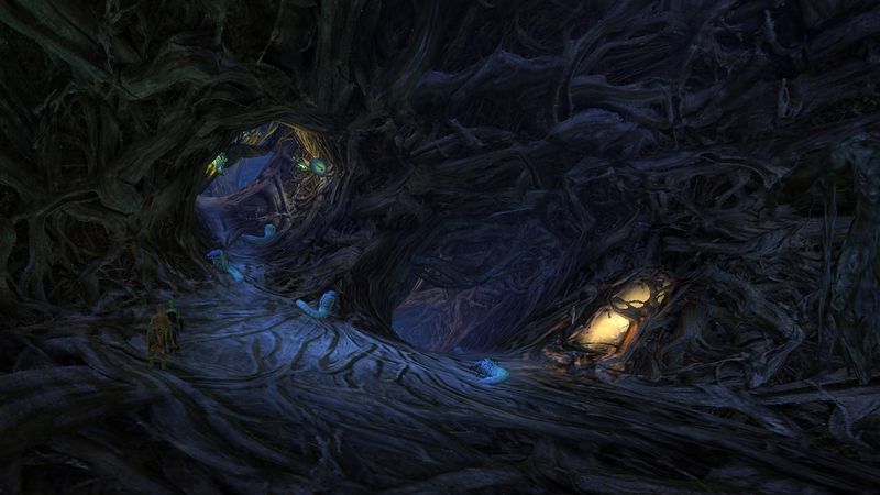 File:Gardenroot Tunnel.jpg