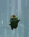 (1) Floating in an updraft.