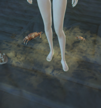 Idle Animation (Crab).png