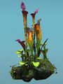 Thumbnail for version as of 19:32, 13 February 2026