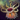 Memory Gobbler.png