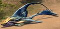 Sand Shark (alt 2).jpg