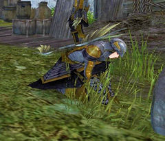 Seraph Engineer Belle.jpg