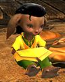 Thumbnail for version as of 01:07, 18 November 2025