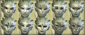 Thumbnail for version as of 20:30, 27 April 2016
