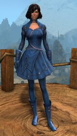 Appearance on light armor.